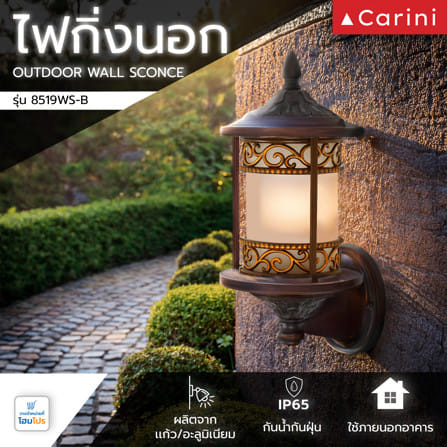 ไฟกิ่งภายนอก CARINI 8519WS-(B) สีคอฟฟี่/ทองรมดำ_4