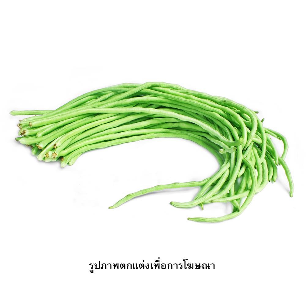 เมล็ดพันธุ์ถั่วฝักยาว กรีน การ์เด้น