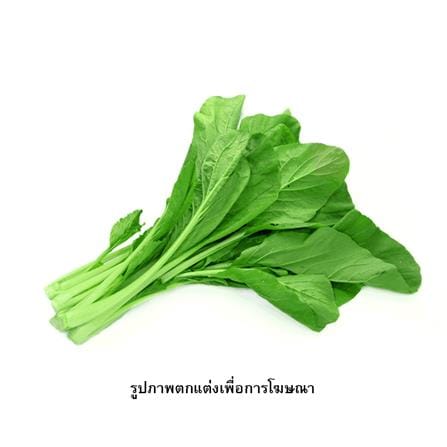 เมล็ดพันธุ์กวางตุ้ง กรีน การ์เด้น_1