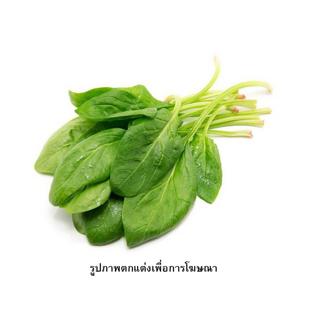 เมล็ดพันธุ์ผักโขม กรีน การ์เด้น
