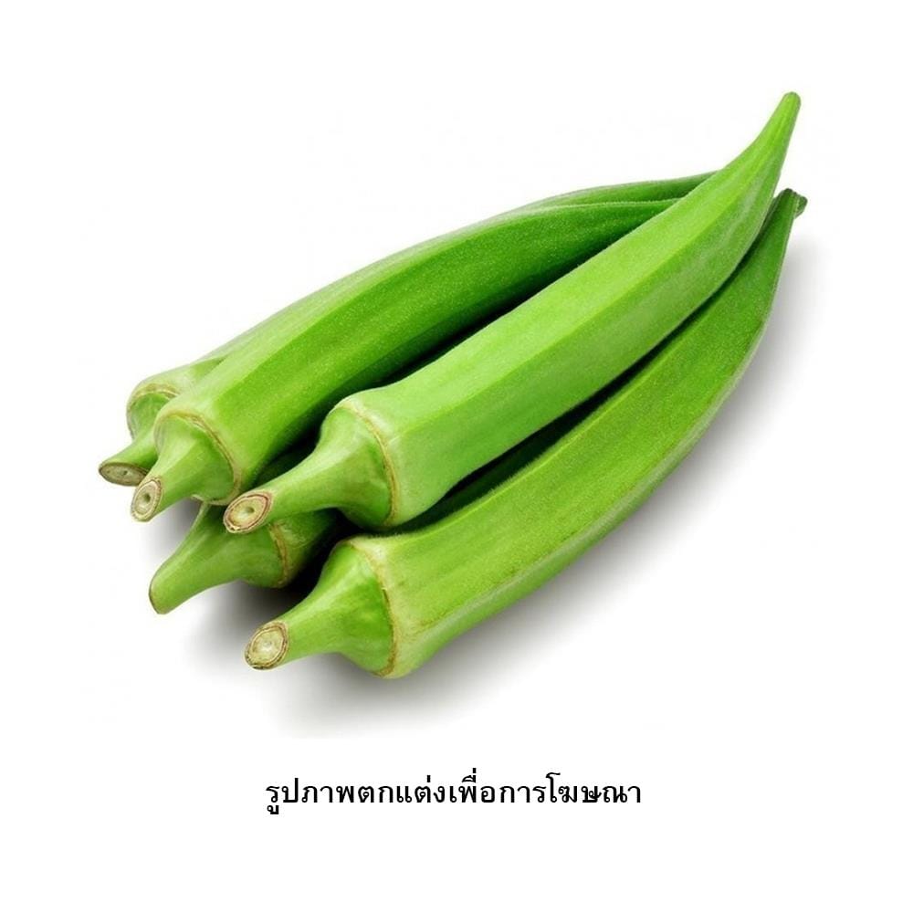 เมล็ดพันธุ์กระเจี๊ยบเขียว กรีน การ์เด้น