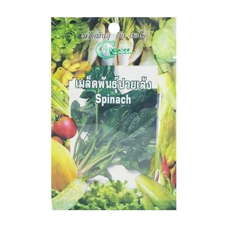 เมล็ดพันธุ์ปวยเล้ง กรีน การ์เด้น_0