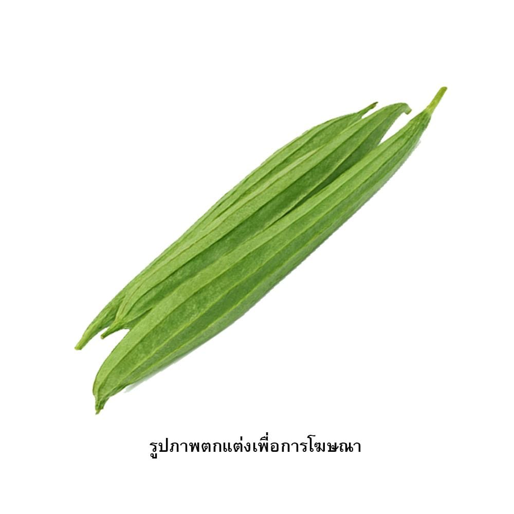 เมล็ดพันธุ์บวบ กรีน การ์เด้น