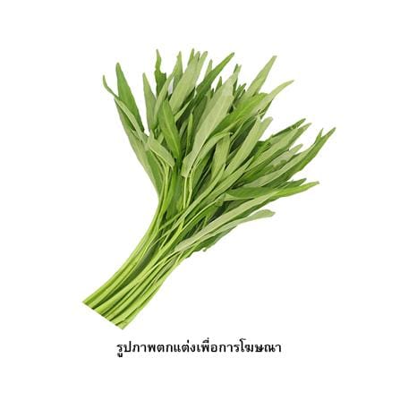 เมล็ดพันธุ์ผักบุ้งจีน กรีน การ์เด้น_1