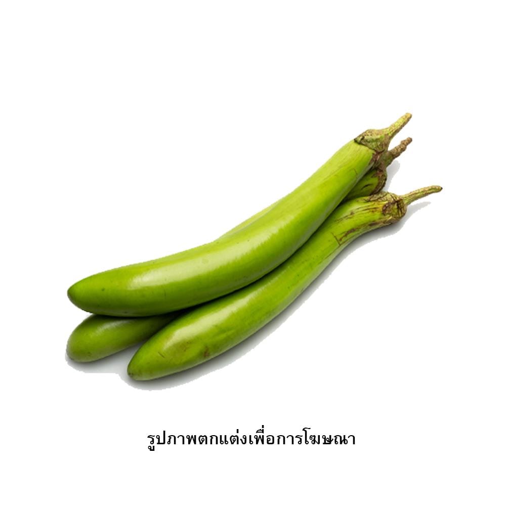 เมล็ดพันธุ์มะเขือยาว กรีน การ์เด้น