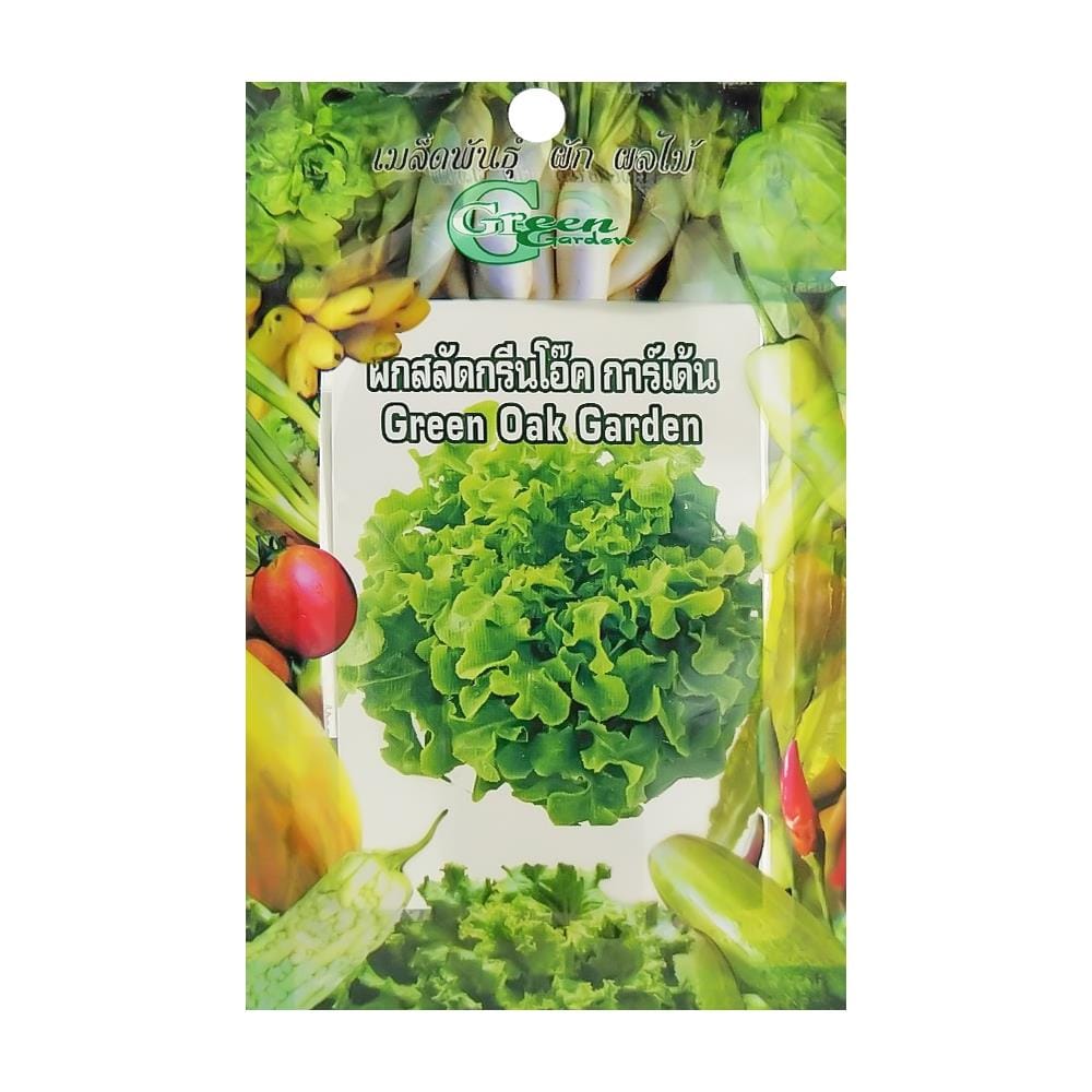เมล็ดพันธุ์ผักสลัด กรีนโอ๊ กรีน การ์เด้น