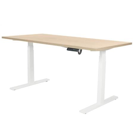 โต๊ะทำงานปรับระดับ ERGOTREND SIT 2 STAND Gen2A 120 ซม. สี SHIMO ASH/ขาว