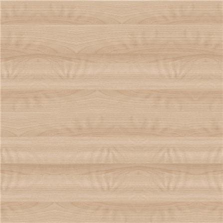 โต๊ะทำงานปรับระดับ ERGOTREND SIT 2 STAND Gen2A 120 ซม. สี SHIMO ASH/ขาว_2
