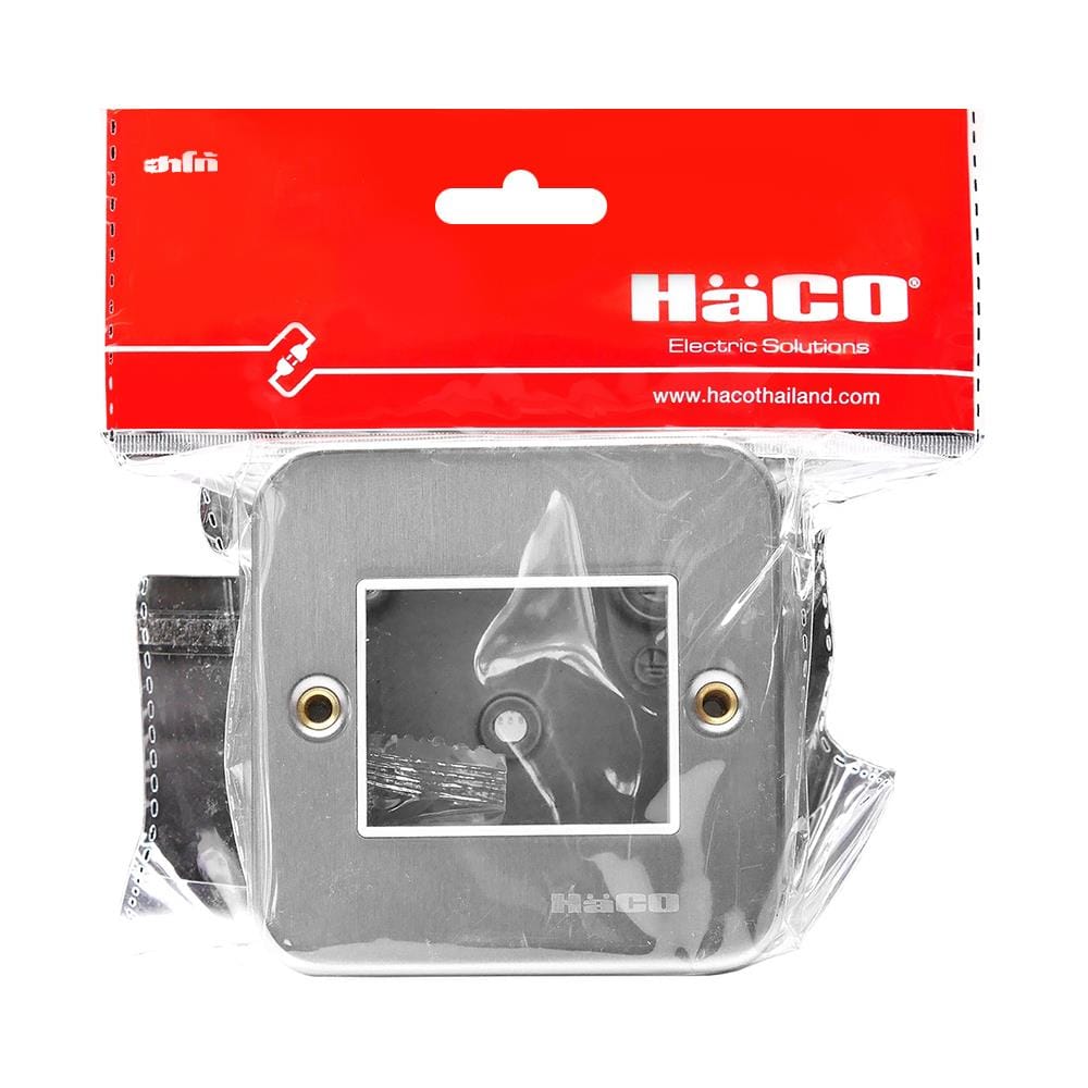 ชุดหน้ากาก 2 ช่อง HACO M1002+HM831 สีเงิน