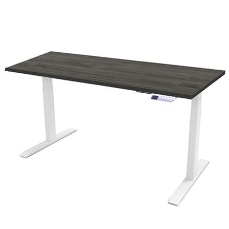 โต๊ะปรับระดับ ERGOTREND SIT 2 STAND GEN 4 120 ซม. สี TWILIGHT ELM/ขาว