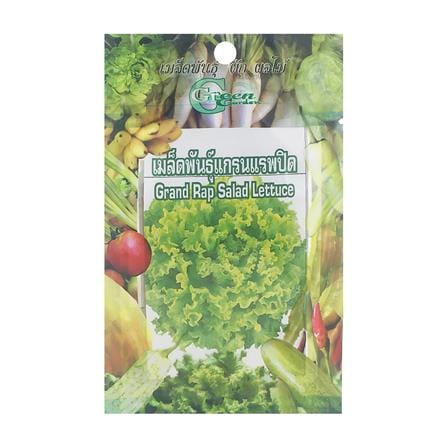 เมล็ดผักสลัดแกรนด์แรปิดส์ GREEN GARDEN 2 กรัม_0