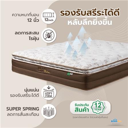 ที่นอนสปริง 6 ฟุต HOME LIVING STYLE รุ่น WISDOM_6