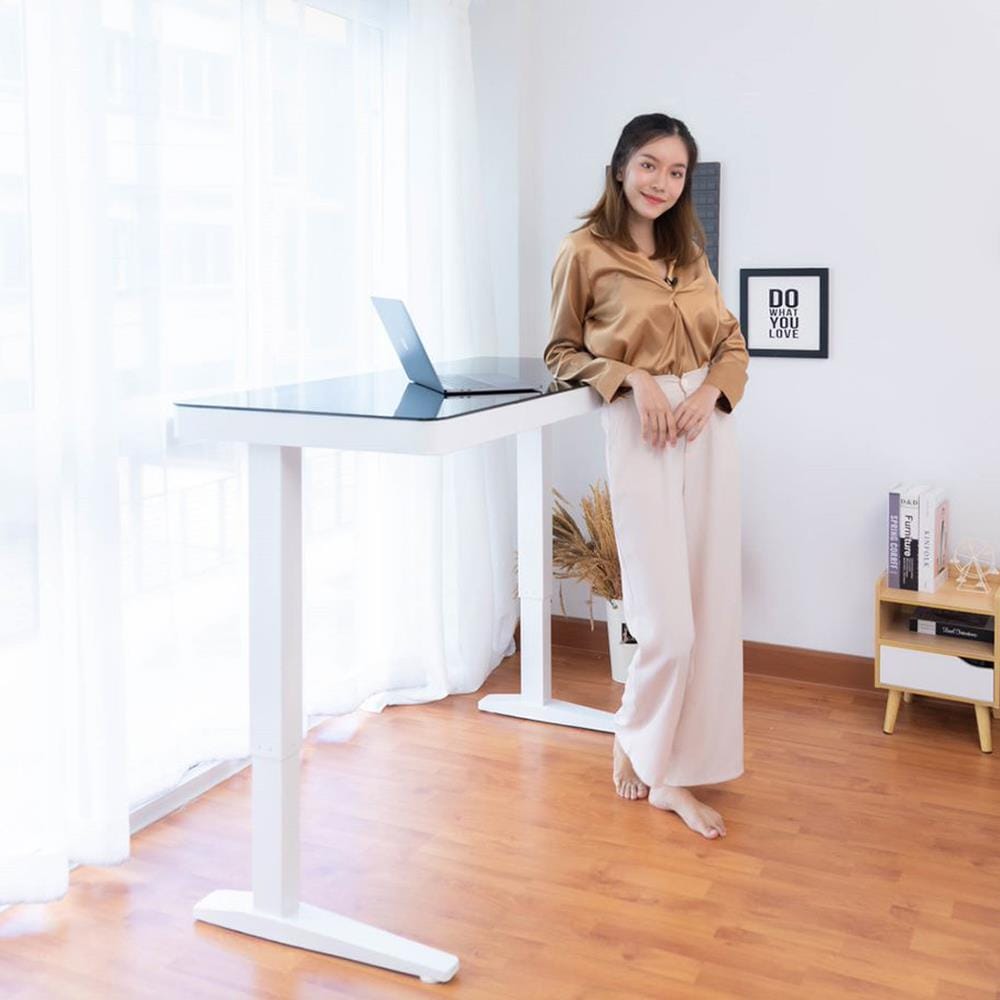 D.I.Y. โต๊ะทำงานปรับระดับ DESKSPACE W119DESK2 สีขาว