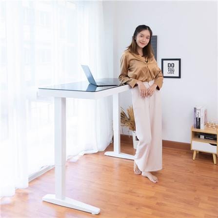 D.I.Y. โต๊ะทำงานปรับระดับ DESKSPACE W119DESK2 สีขาว/สีดำ_6