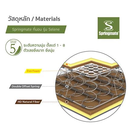 ที่นอนสปริง 6 ฟุต SPRINGMATE รุ่น SELENE_4
