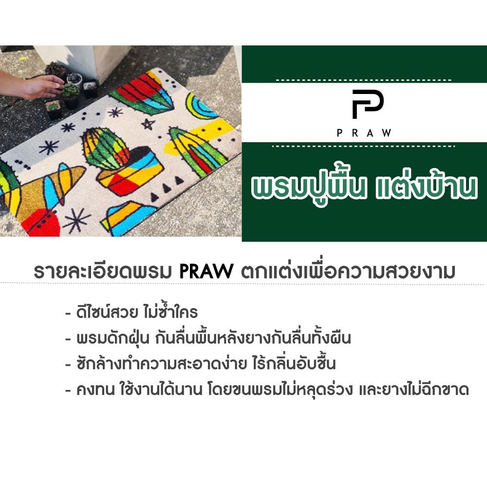 พรม PRAW ASTROPHYTUM 50X75 ซม. สีเทา/ดำ