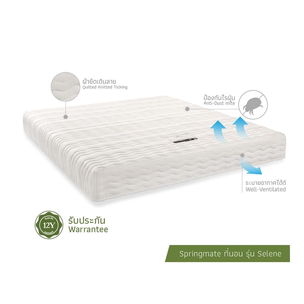 ที่นอนสปริง 3.5 ฟุต SPRINGMATE รุ่น SELENE