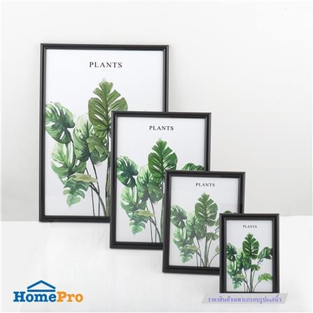 กรอบรูป PTS PLANTS 6x8 นิ้ว สีดำ_3