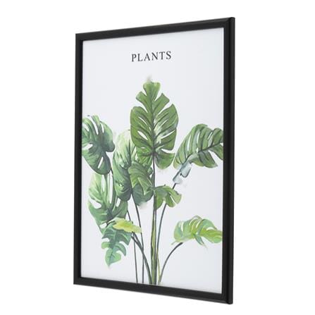 กรอบรูป PTS PLANTS 11.7X16.5 นิ้ว (A3) สีดำ_1