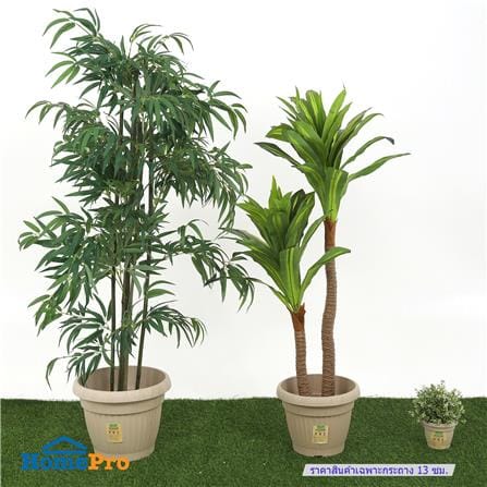 กระถางชีวภาพย่อยสลาย SPRING LOUIS 13 ซม. สีน้ำตาลอ่อน_4