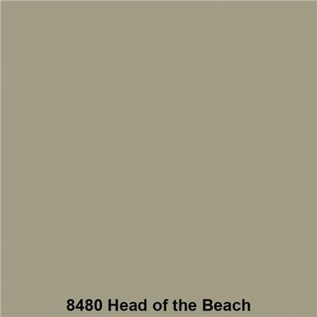 สีน้ำทาภายนอก TOA 4 SEASONS ADVANCE 8480 สี HEAD FOR THE BEACH ด้าน 2.5 แกลลอน_1