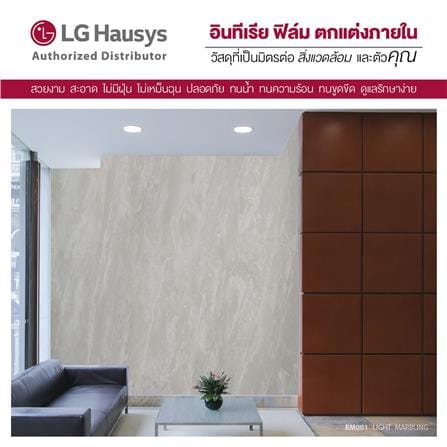 วอลล์สติ๊กเกอร์ LX HAUSYS BM001 1.22x2 ม. สีเทา_3