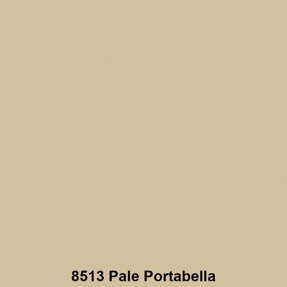 สีน้ำทาภายนอก TOA SUPERSHIELD ADVANCE 8513 สี PALE PORTABELLA เนียน 9 ลิตร