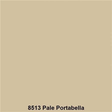 สีน้ำทาภายนอก TOA SUPERSHIELD ADVANCE 8513 สี PALE PORTABELLA กึ่งเงา 9 ลิตร_1