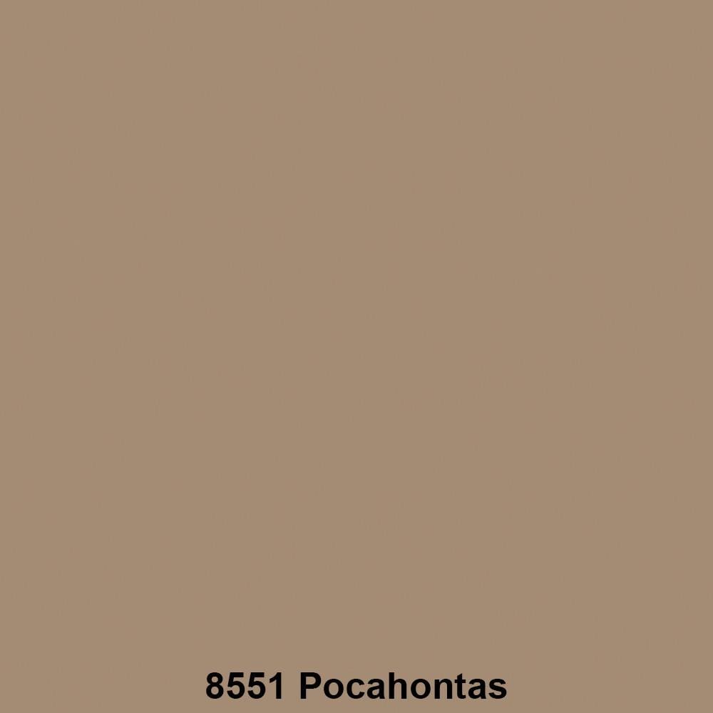 สีน้ำทาภายนอก ชนิดกึ่งเงา TOA SUPERSHIELD ADVANCE 8551 สี POCAHONTAS 9 ลิตร