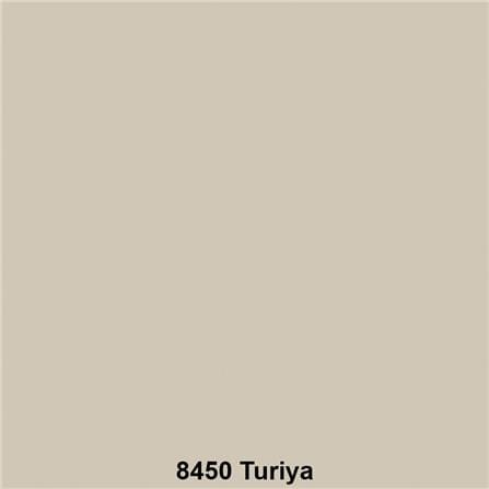 สีน้ำทาภายนอก TOA SUPERSHIELD ADVANCE 8450 สี TURIYA กึ่งเงา 9 ลิตร_1