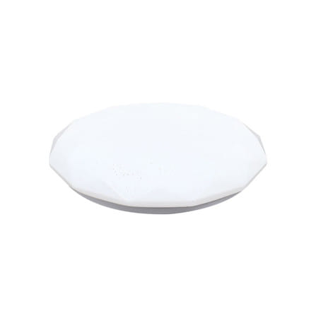 ไฟเพดาน LED CARINI ZY833-S 13 นิ้ว 24 วัตต์ DAYLIGHT สีขาว_1