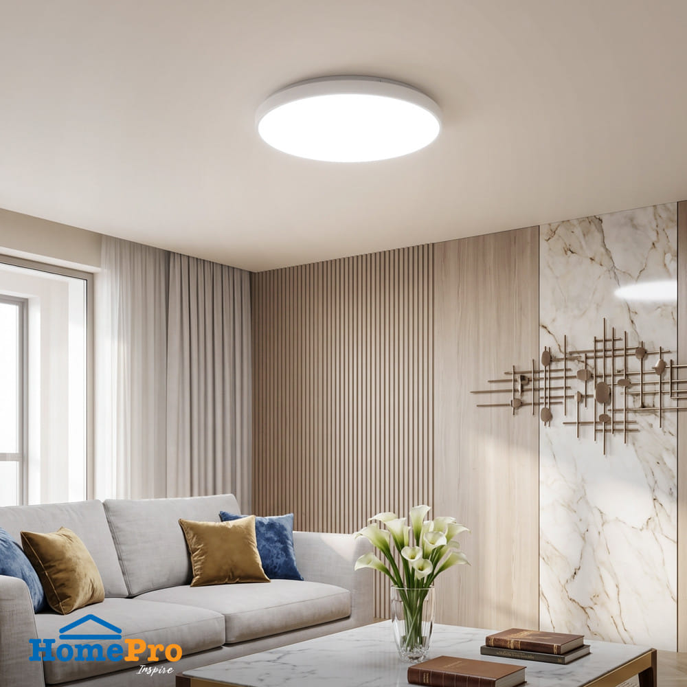 ไฟเพดาน LED CARINI ZY901-S 13 นิ้ว 24 วัตต์ DAYLIGHT สีขาว