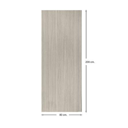 ประตูภายในเมลามีน AZLE GY 80X200 ซม. สีเทา_5