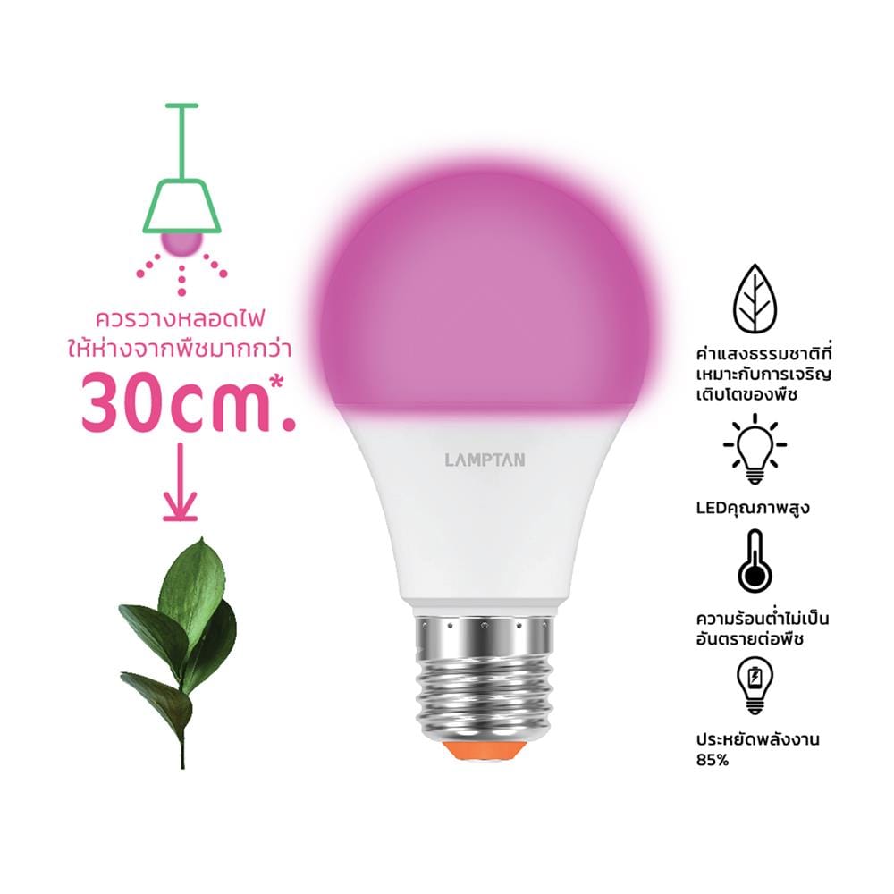 หลอด LED LAMPTAN BULB PLANT GROW 10 วัตต์ VIOLET E27