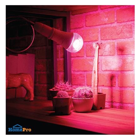 หลอด LED LAMPTAN BULB PLANT GROW 10 วัตต์ VIOLET E27_3