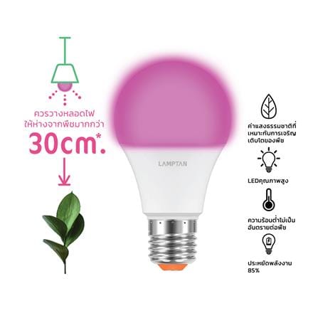 หลอด LED LAMPTAN BULB PLANT GROW 10 วัตต์ VIOLET E27_4
