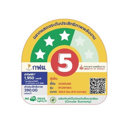 ตู้เย็น 2 ประตู SAMSUNG RT25FGRADB1/ST 9 คิว สี BLACK MATT_1