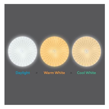 ไฟเพดาน LED LAMPTAN LOTUS 15.5 นิ้ว 36 วัตต์ DAYLIGHT/COOL WHITE/WARM WHITE สีขาว_5