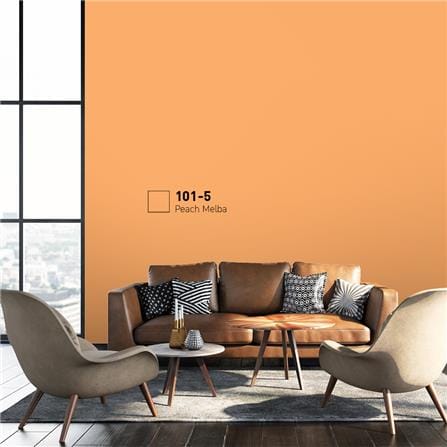 สีน้ำทาภายนอก BEGER COOL DIAMONDSHIELD 15 สี PEACH MELBA #101-5 กึ่งเงา 9 ลิตร_1