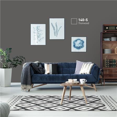 สีน้ำทาภายนอก BEGERCOOL DIAMONDSHIELD 10 #140-5 สี THORWOOD กึ่งเงา 9 ลิตร_1