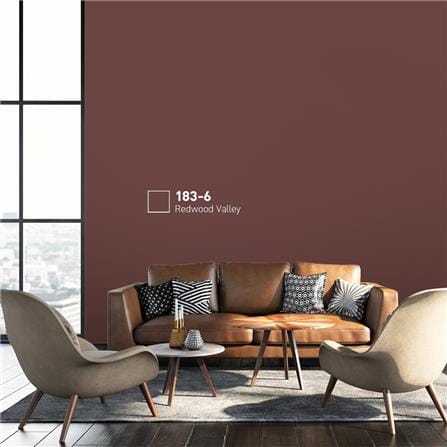 สีน้ำทาภายนอก BEGER COOL DIAMONDSHIELD 15 สี REDWOOD VALLEY #183-6 กึ่งเงา 9 ลิตร_1