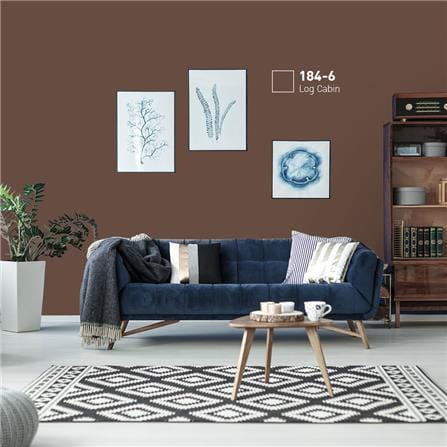 สีน้ำทาภายนอก BEGER COOL DIAMONDSHIELD 10 #184-6 สี LOG CABIN กึ่งเงา 9 ลิตร_1