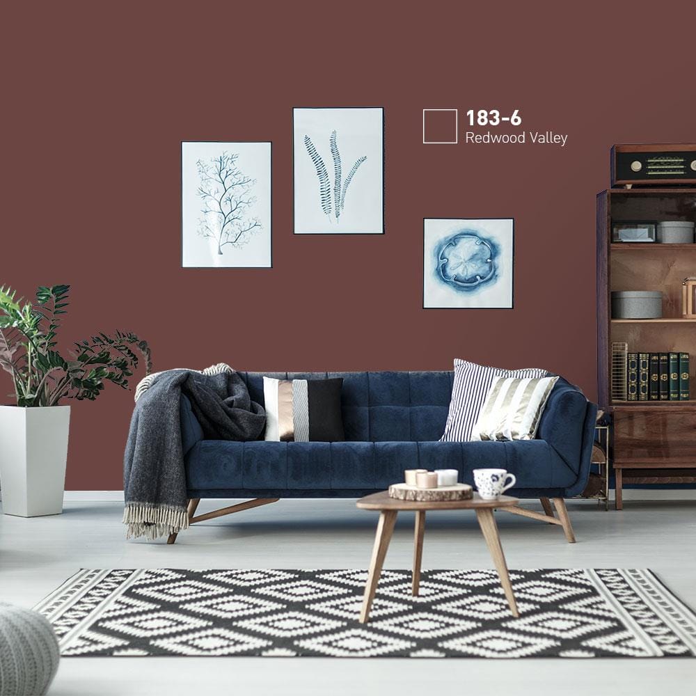 สีน้ำทาภายนอก BEGERCOOL DIAMONDSHIELD 10 #183-6 สี REDWOOD VALLEY กึ่งเงา 9 ลิตร