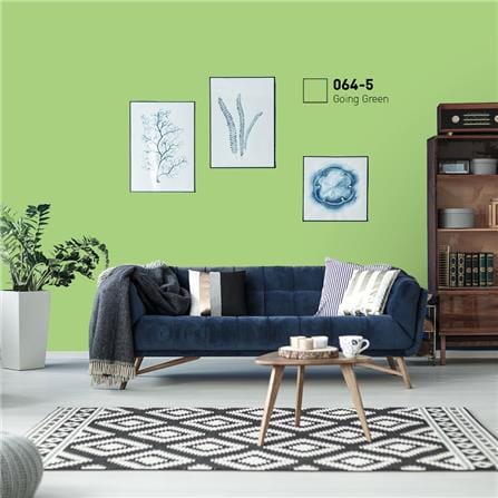 สีน้ำทาภายนอก ชนิดกึ่งเงา BEGERCOOL DIAMONDSHIELD 10 064-5 สี FAVORITE PLANT 9 ลิตร_1