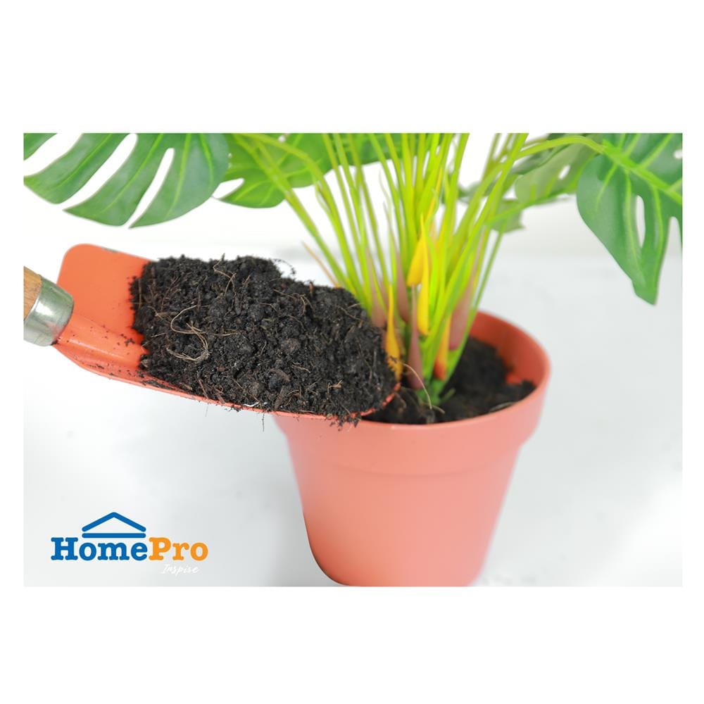 ดินเพาะกล้า SPRING 20 กก.