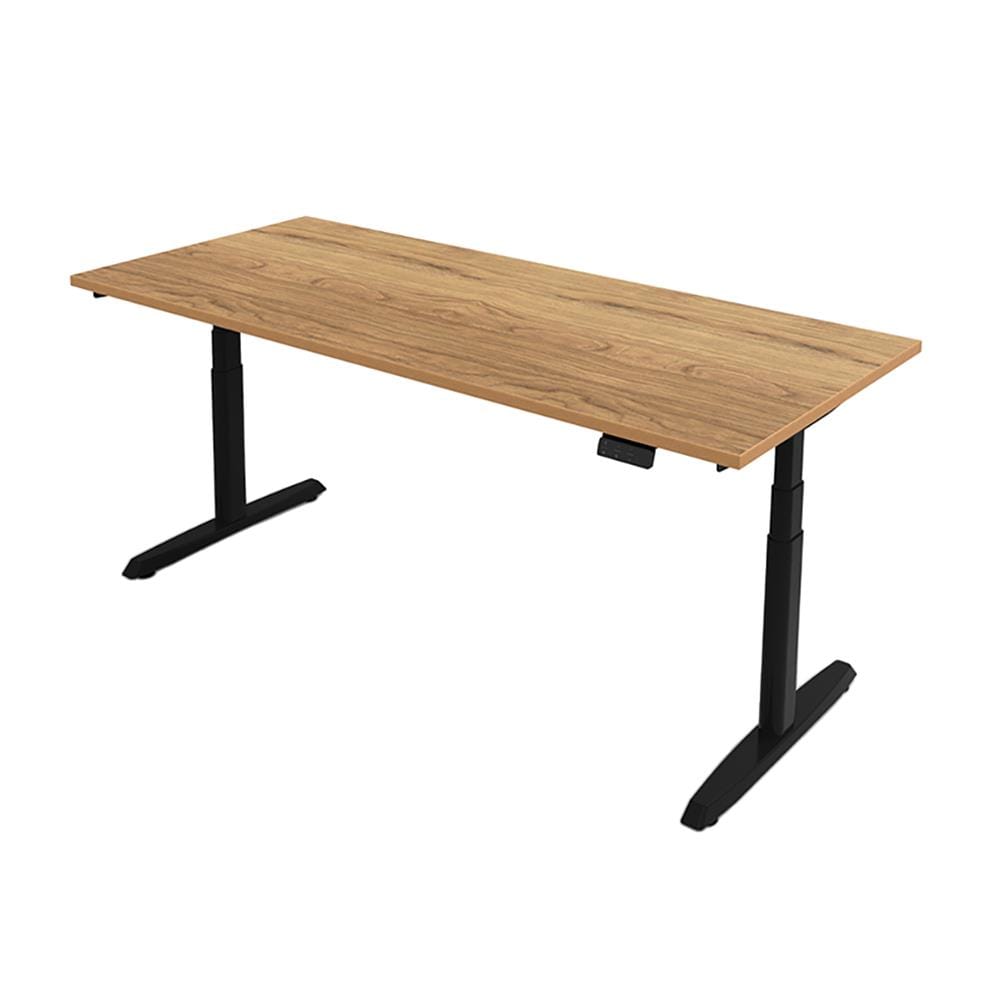โต๊ะปรับระดับไฟฟ้า ERGOTREND SIT 2 STAND GEN5 120 ซม. สี VINTAGE OAK/ดำ