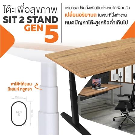 โต๊ะทำงานปรับระดับ ERGOTREND SIT 2 STAND GEN5 180 ซม. สี SHIMO ASH/ขาว_1