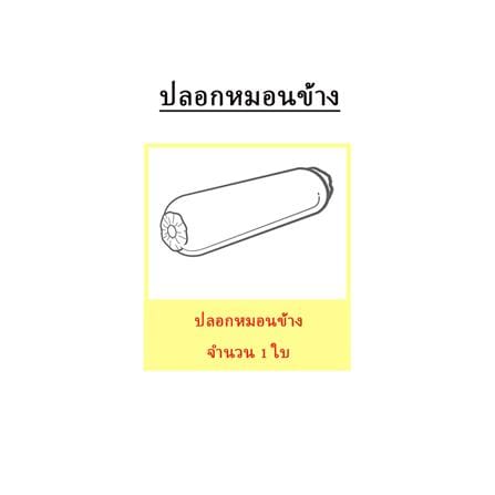 ปลอกหมอนข้าง EXOTICA 31XP MOON_5