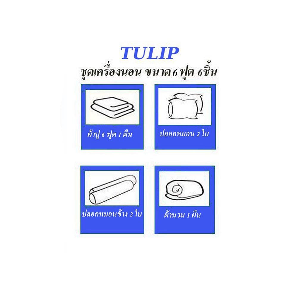ชุดผ้าปูที่นอน 6 ฟุต 6 ชิ้น TULIP IN THE MOMENT 60235-DL410