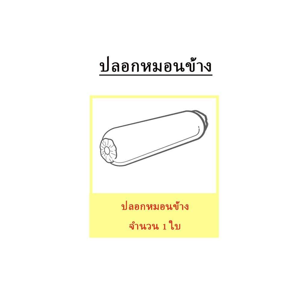 ปลอกหมอนข้าง EXOTICA 31XP KGBE